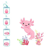 Magisch Axolotl Ei 2 varianten