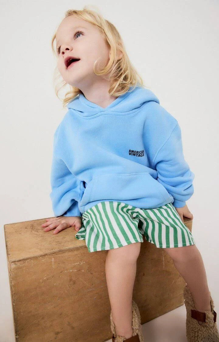 American Vintage | Izubird hoodie bleu ciel vintage