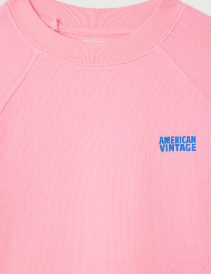 American Vintage | Izubird sweater barbe a papa vintage shortsleeve