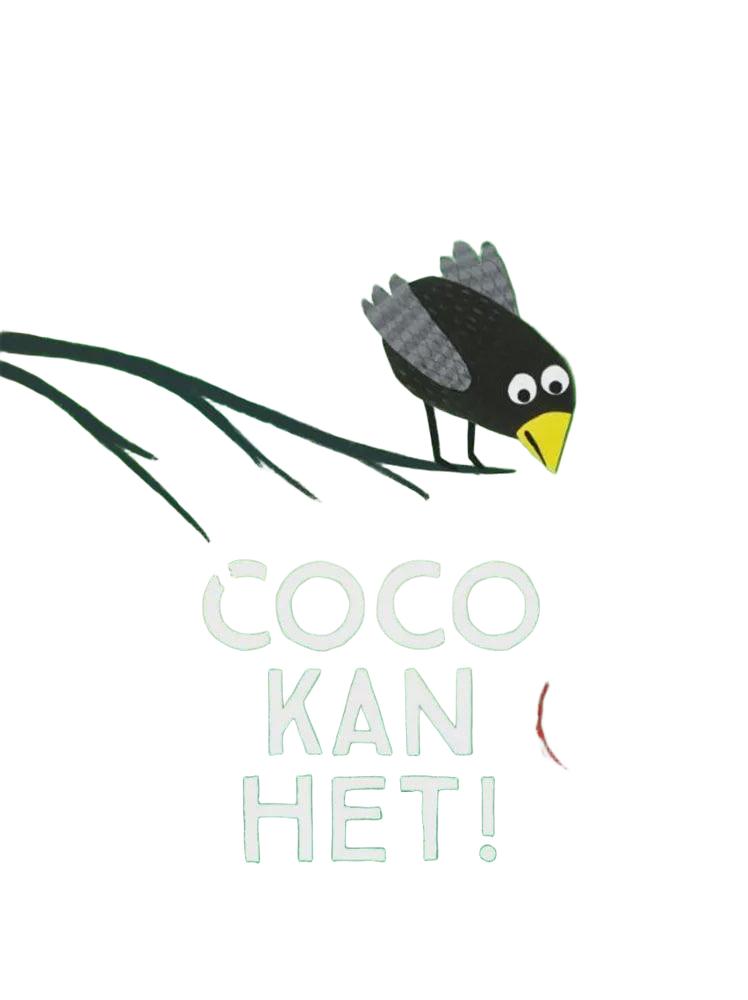 Boeken | Boek coco kan het