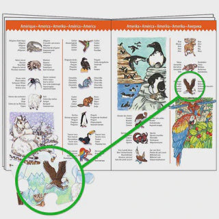 Djeco | Observatie puzzel - Dieren van de wereld 100 stuks