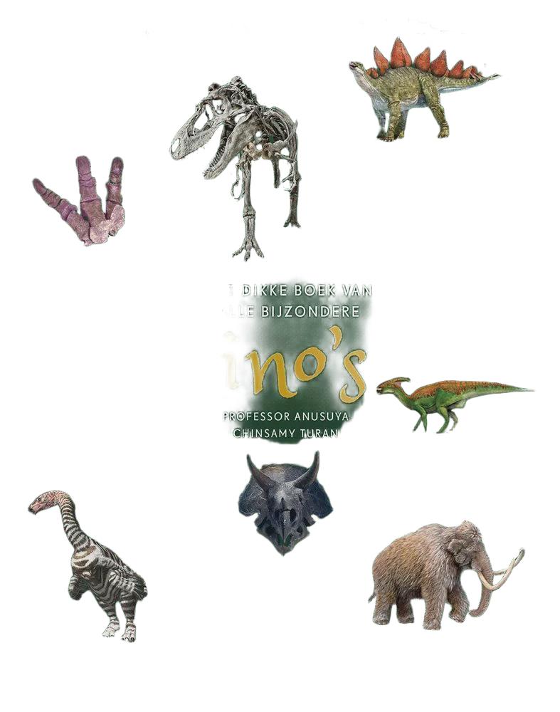 Harlekijn | het dikke boek van ons bijzondere dino's