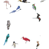 Het Dikke Boek van alle bijzondere vogels