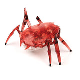 Hexbots | Rhino beetle & scarab