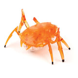 Hexbots | Rhino beetle & scarab