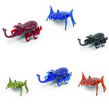 Hexbots | Rhino beetle & scarab
