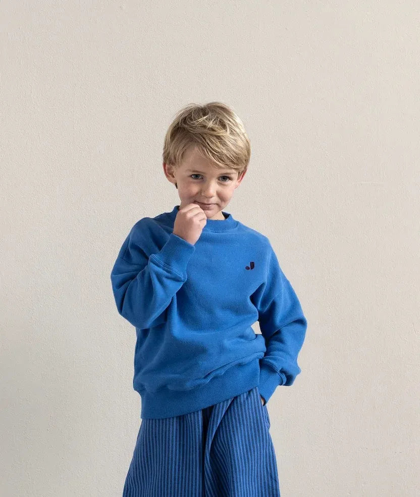 Jenest | Happy bird sweater | cobalt blue