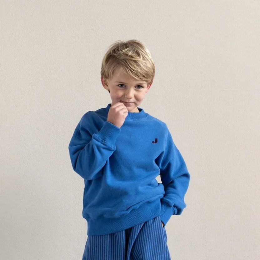 Jenest | Happy bird sweater | cobalt blue