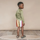 Salted Stories | Multi stripe swim shorts multicolor