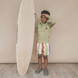Salted Stories | Multi stripe swim shorts multicolor