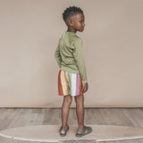 Salted Stories | Multi stripe swim shorts multicolor