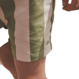 Salted Stories | Wide stripe swim shorts iguana