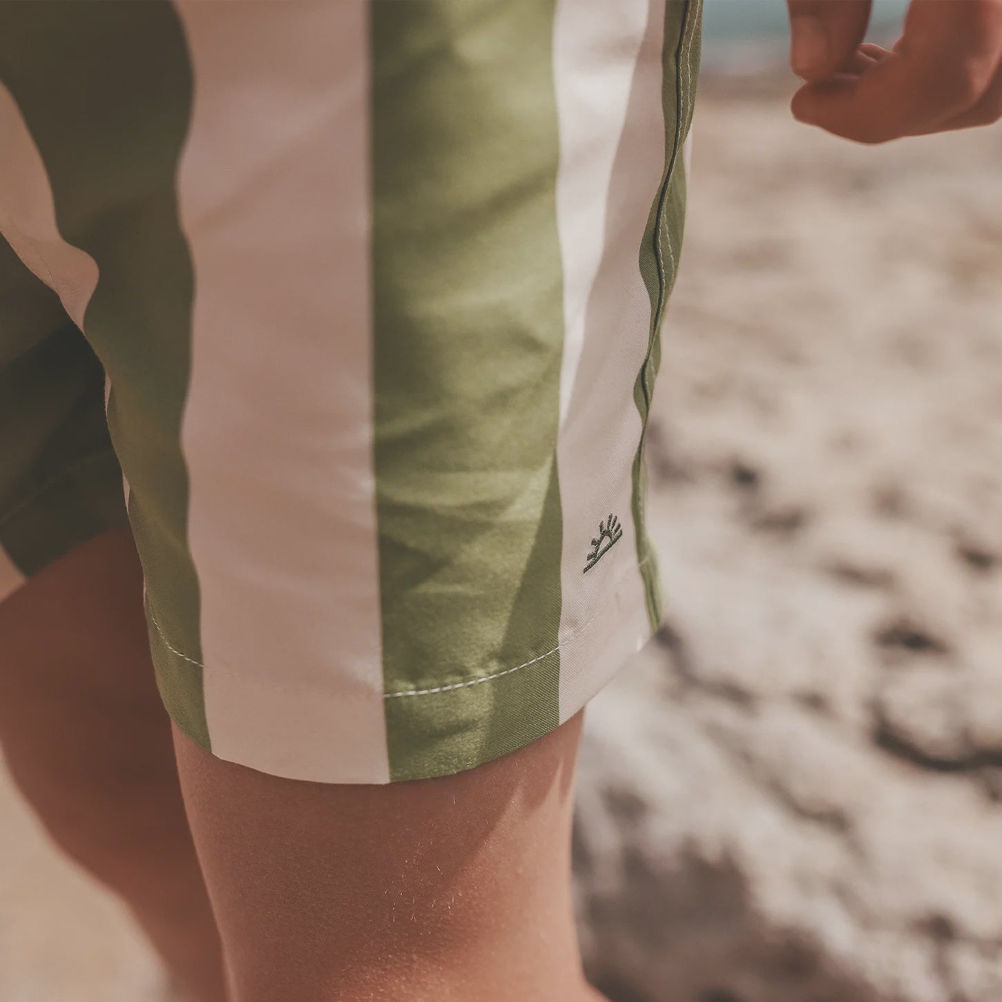 Salted Stories | Wide stripe swim shorts iguana