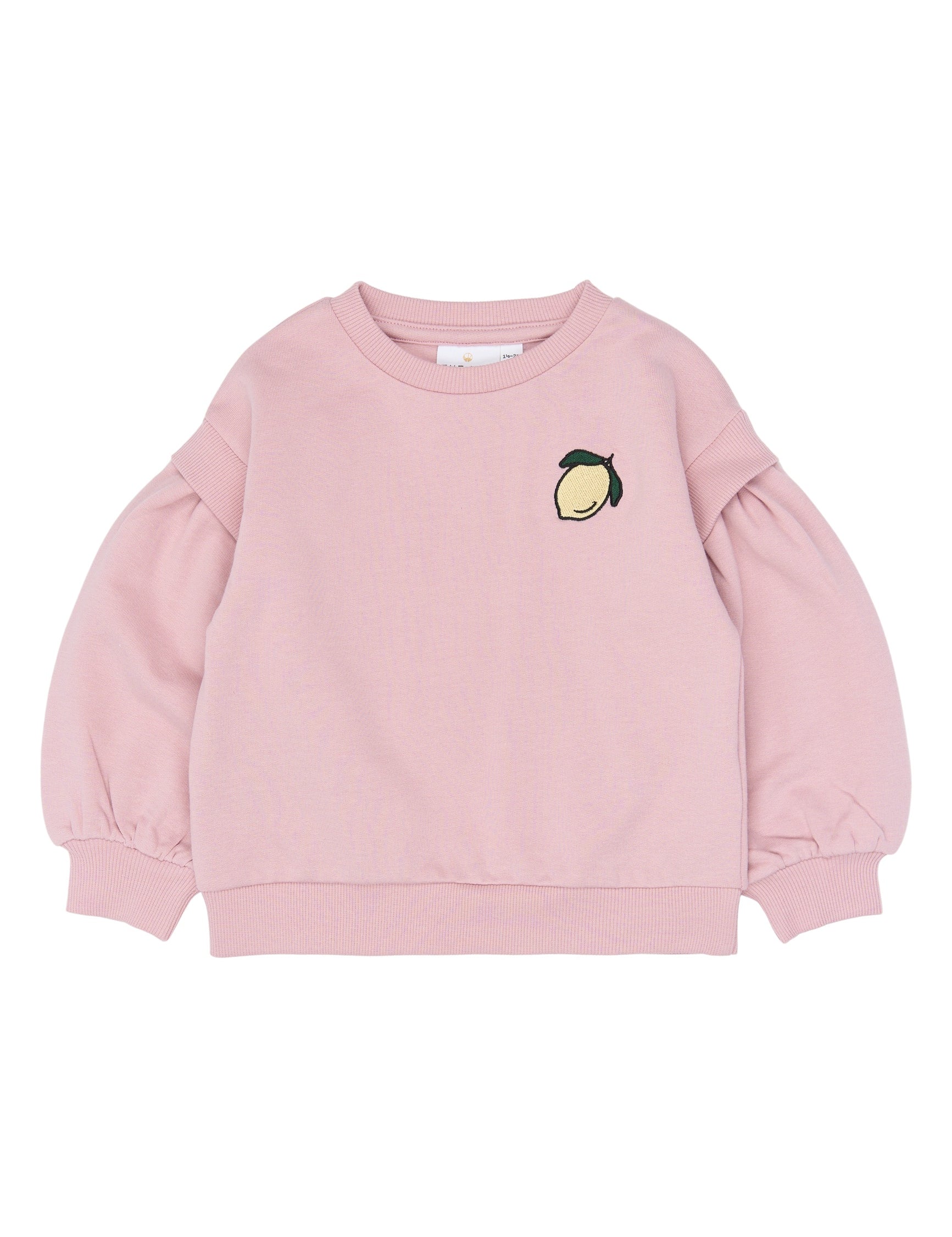 THE NEW SIBLINGS | Sapphire os sweatshirt silver pink