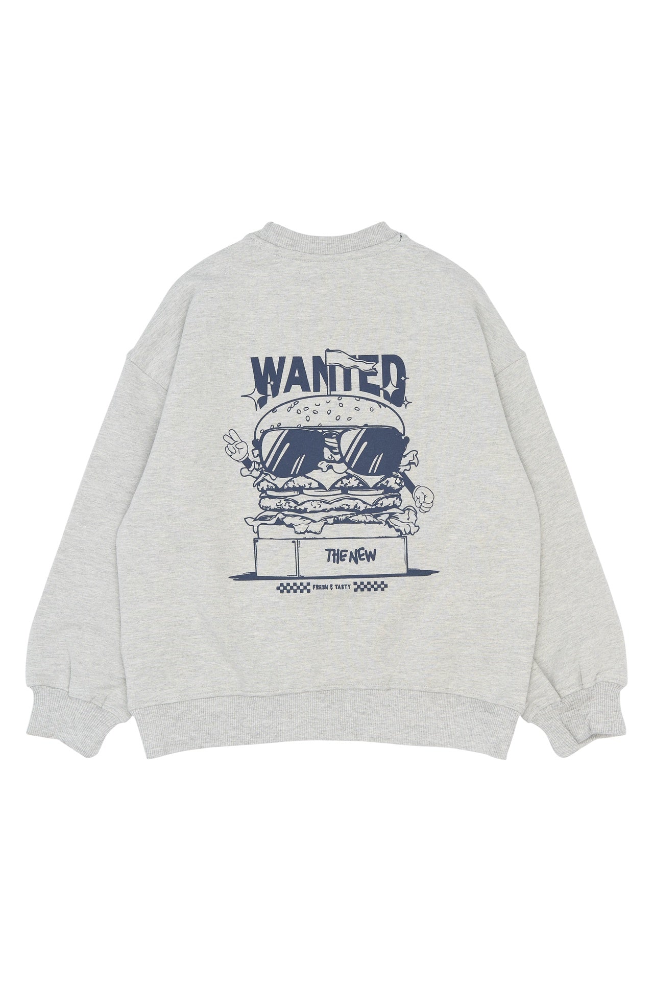 THE NEW |Stevie os sweatshirt- light grey melange