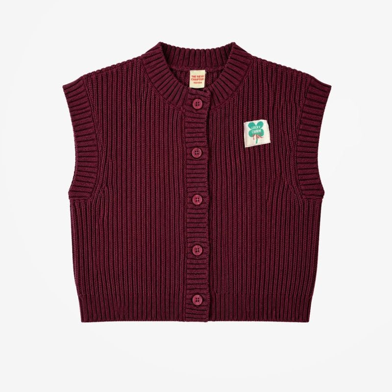 The New Chapter | Beau spencer | Burgundy
