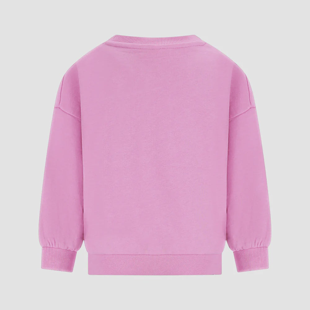 The New Chapter | Sweater Billie mauve mist