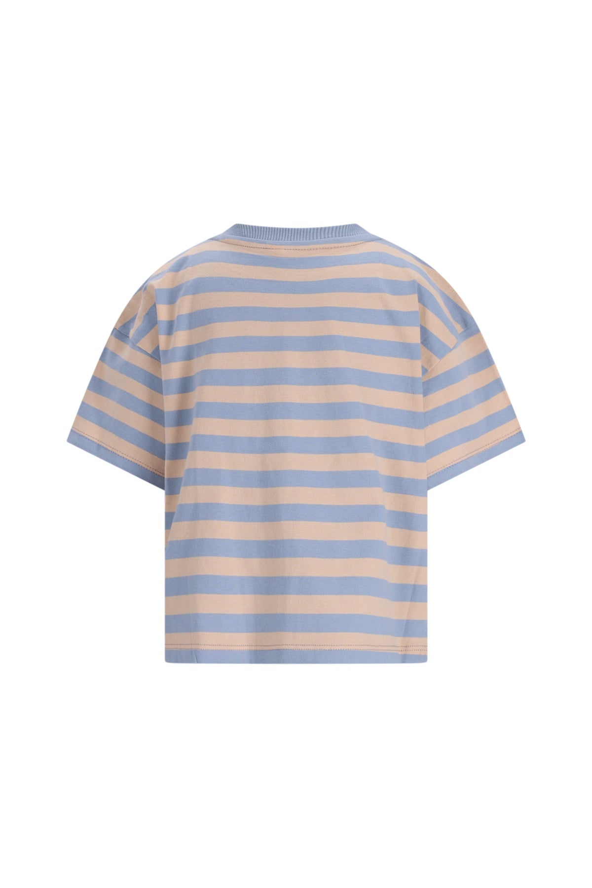 The New Chapter | T-shirt Bo blue beige stripes